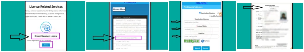 Sample Parivahan Portal Screenshot – Learning License Download Page