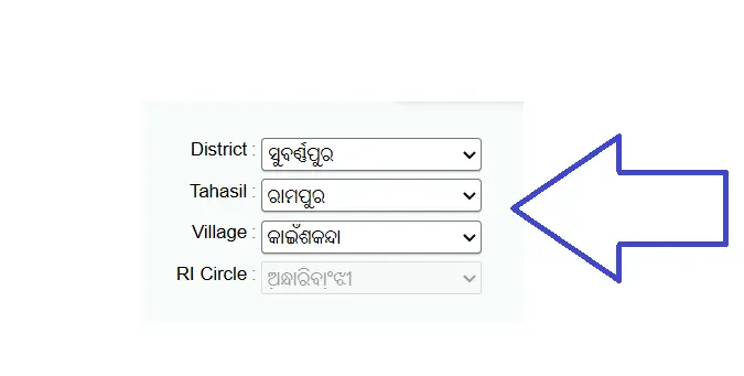 Enter Tahasil, Village and RI Circle on Bhulekh Odisha